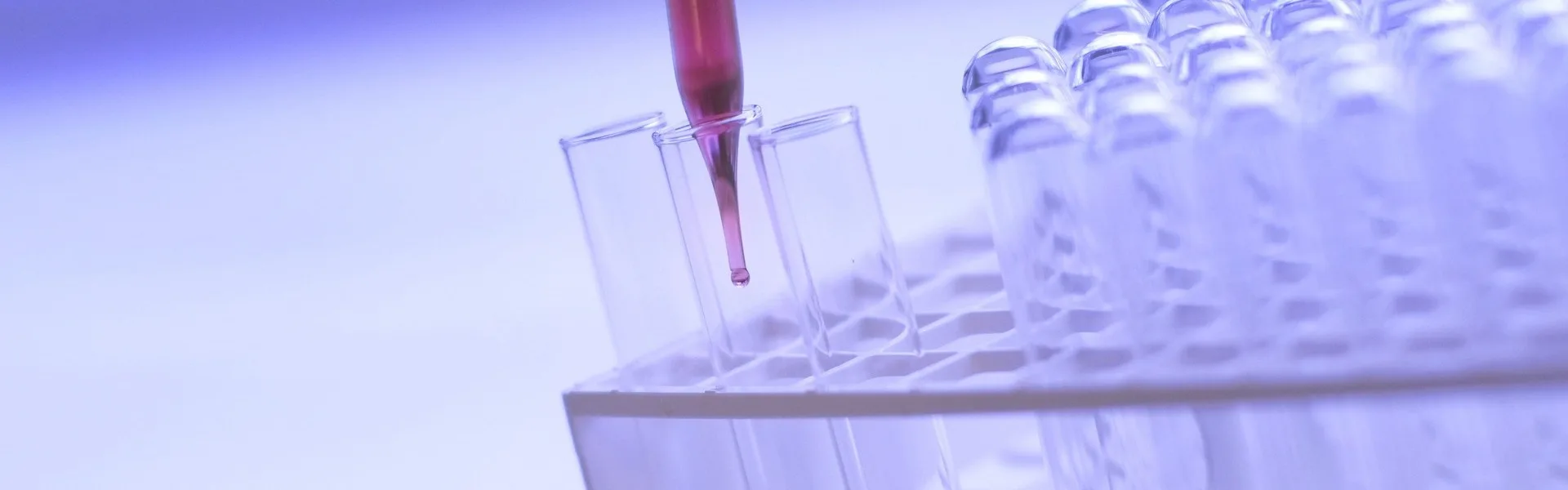 Forensics and toxicology